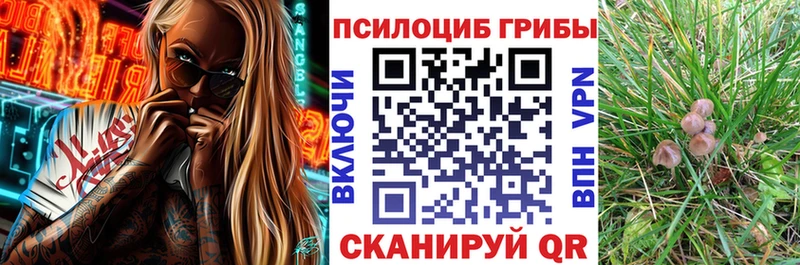 Галлюциногенные грибы Cubensis  где купить наркотик  Тюмень 